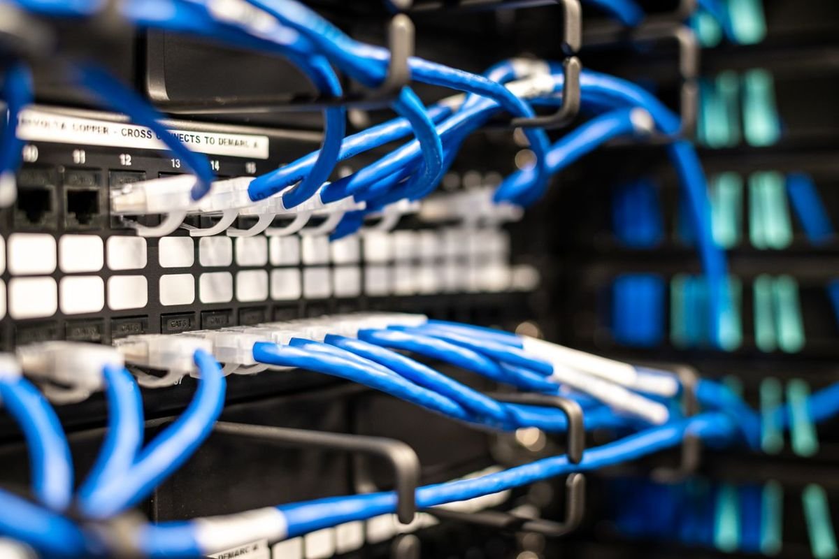Blue network cables connected to a patch panel in a server rack