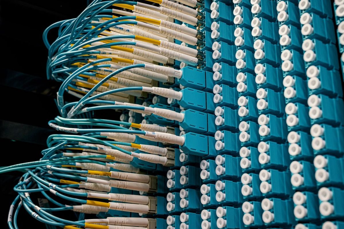 Fiber optic patch cables plugged into a patch panel