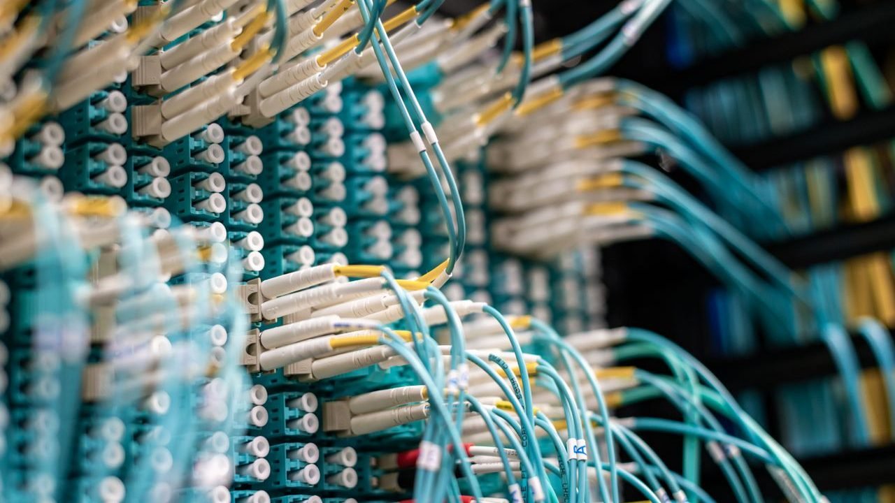 Rows of blue network cables and white connectors in a data center