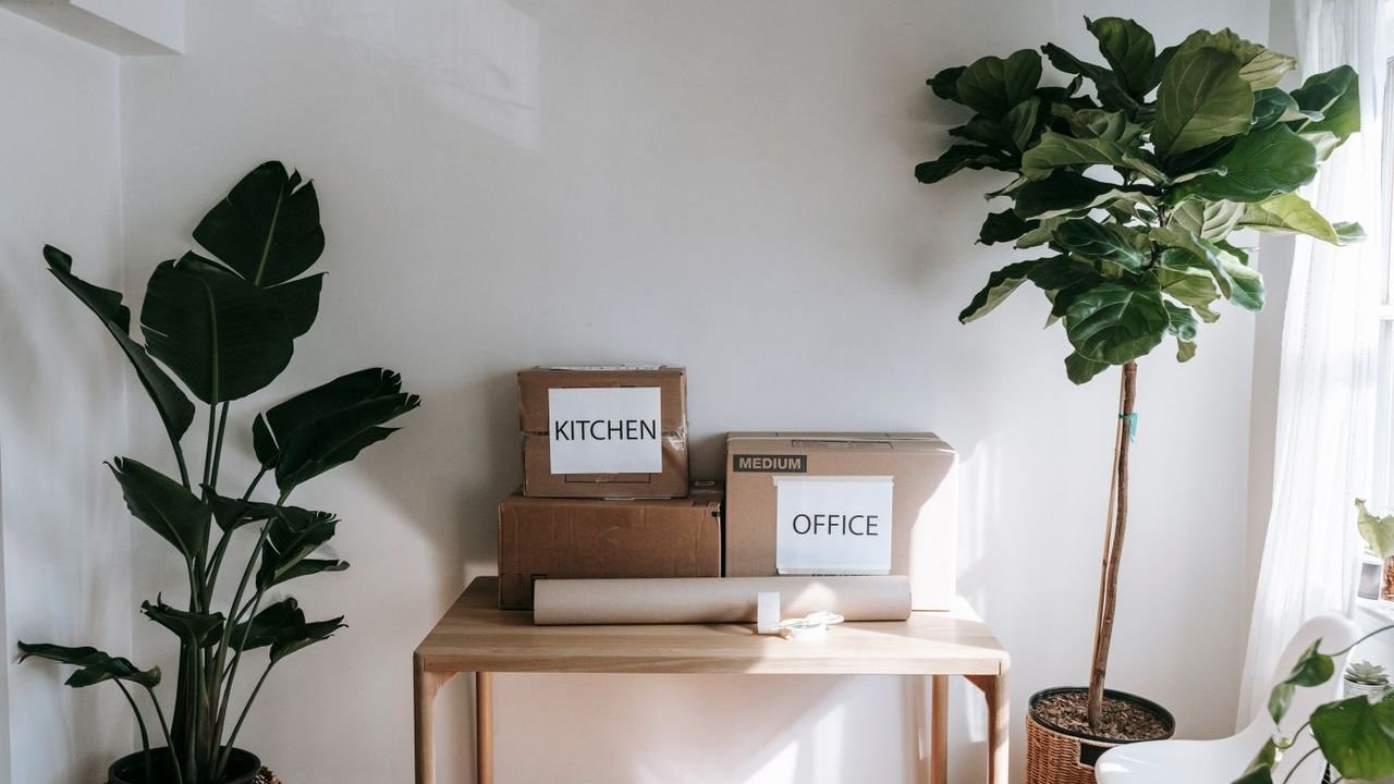 Moving boxes labeled Kitchen and Office on a wooden table beside houseplants