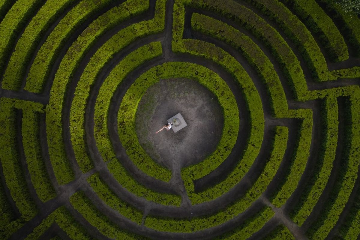 Aerial view of a rectangular hedge maze garden