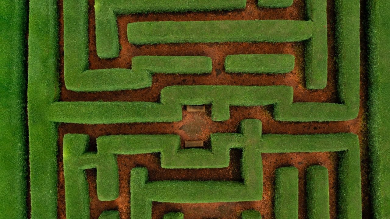 Green hedge maze with high walls